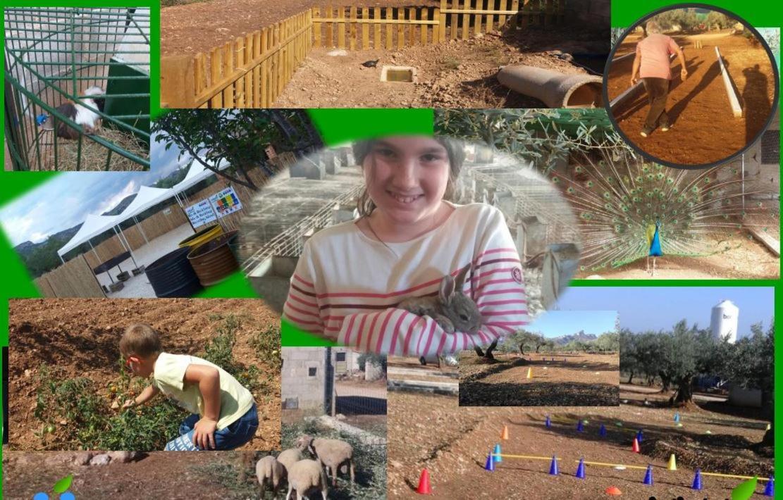 Hostal La Panavera El Perelló Dış mekan fotoğraf